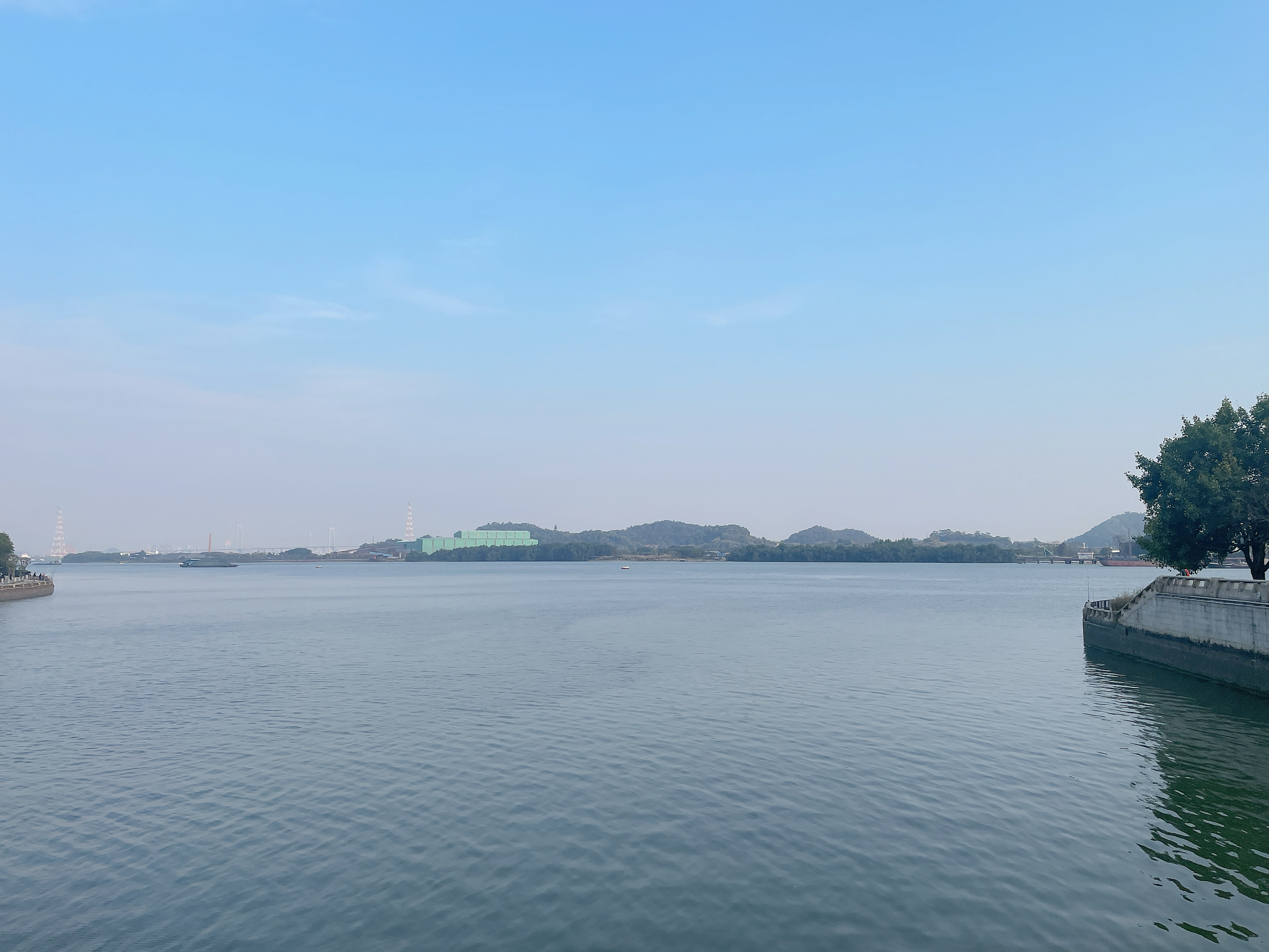 检测师头像